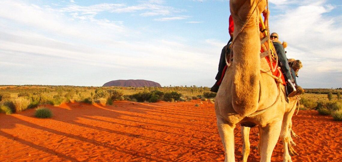 worldrugbyleague|Inside The Lost Camel Hotel: Unique Accommodation
