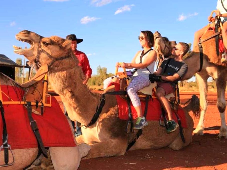The Distinctive Features of the Lost Camel Hotel Experience