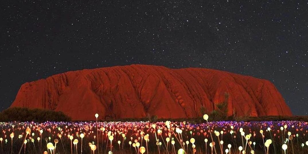 worldrugbyleague|Attending the Field of Light Art Installation at Night