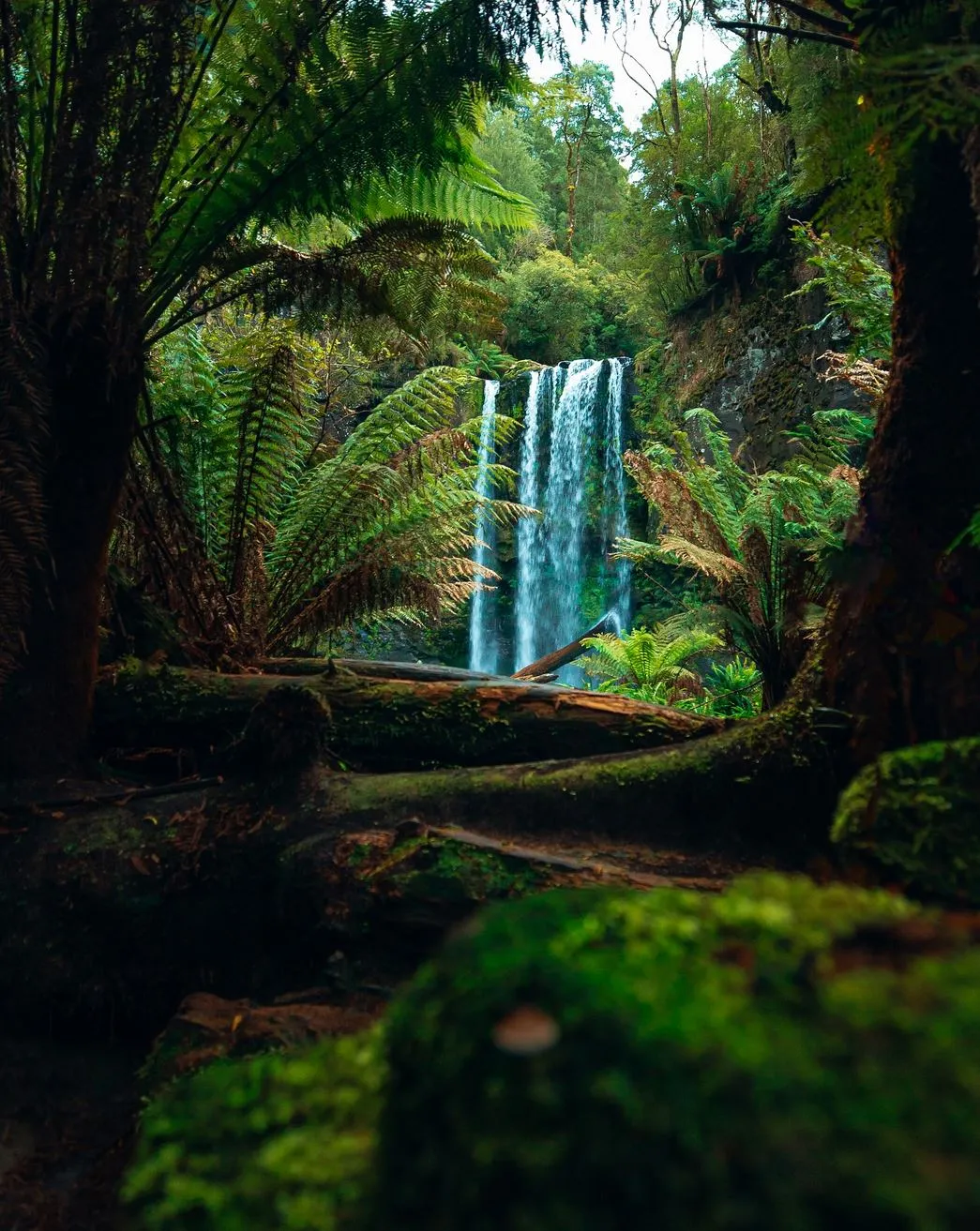 Great Otway National Park