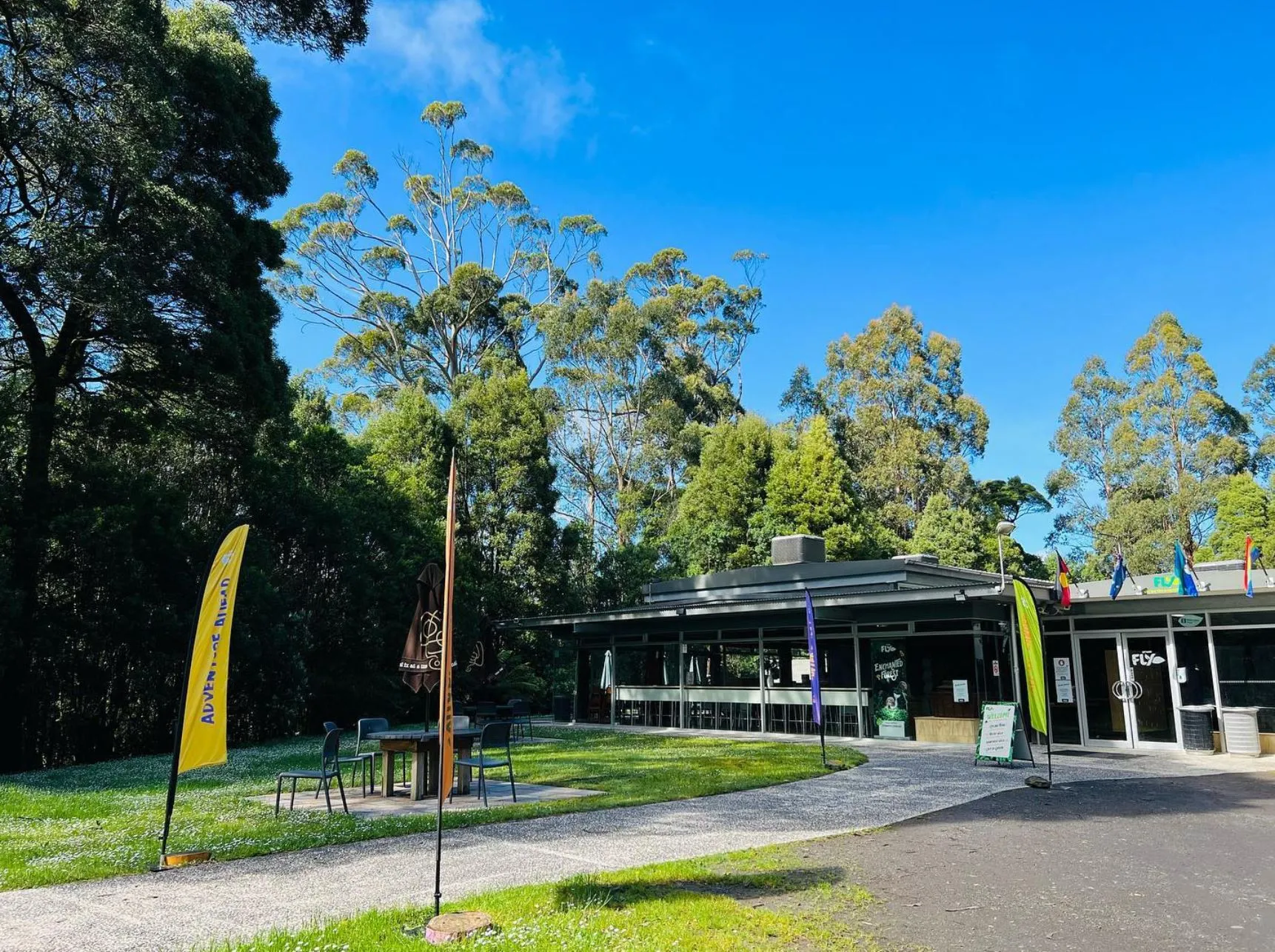 Otway Fly Treetop Walk