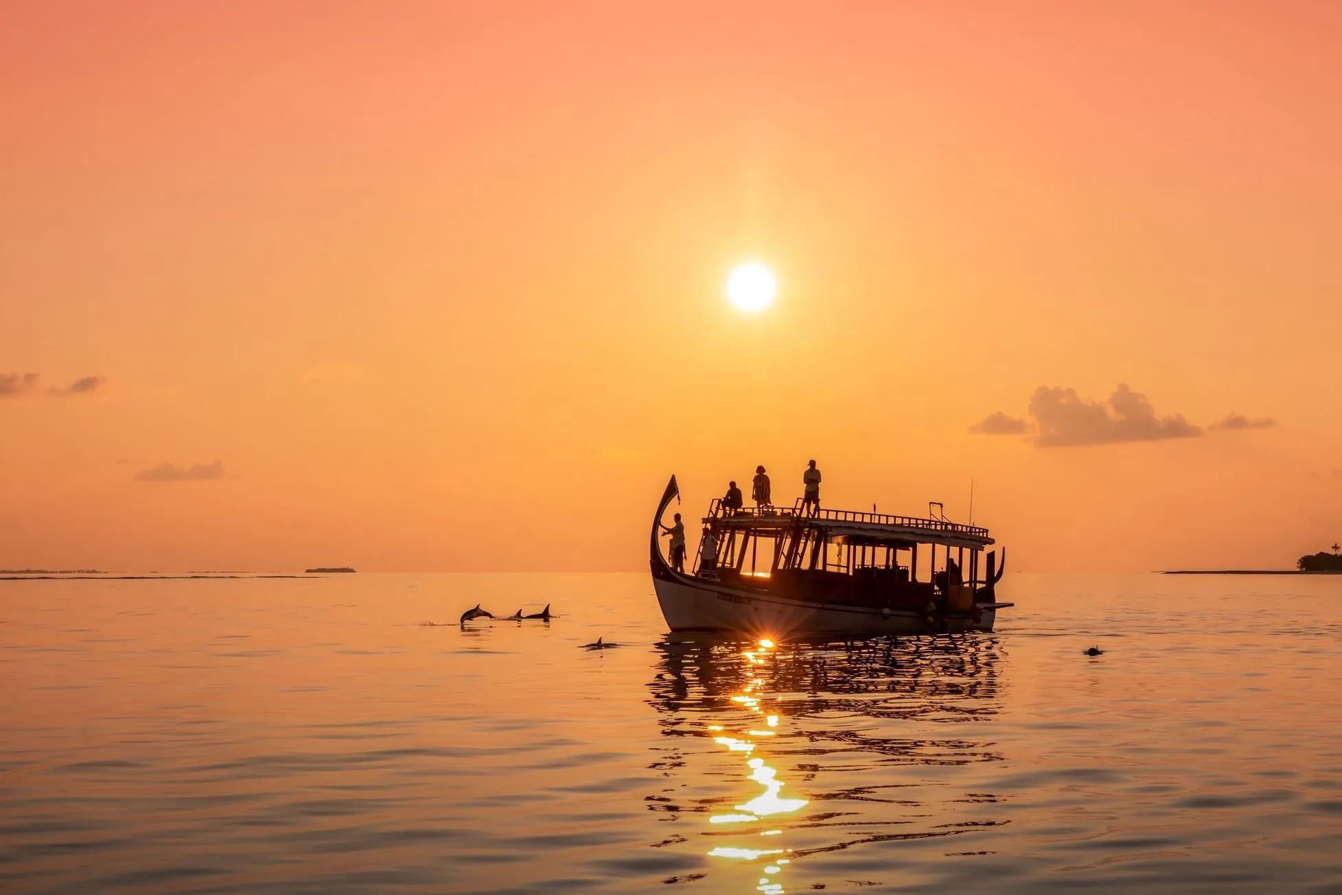 Sunset Dolphin Cruise, maldives tour package