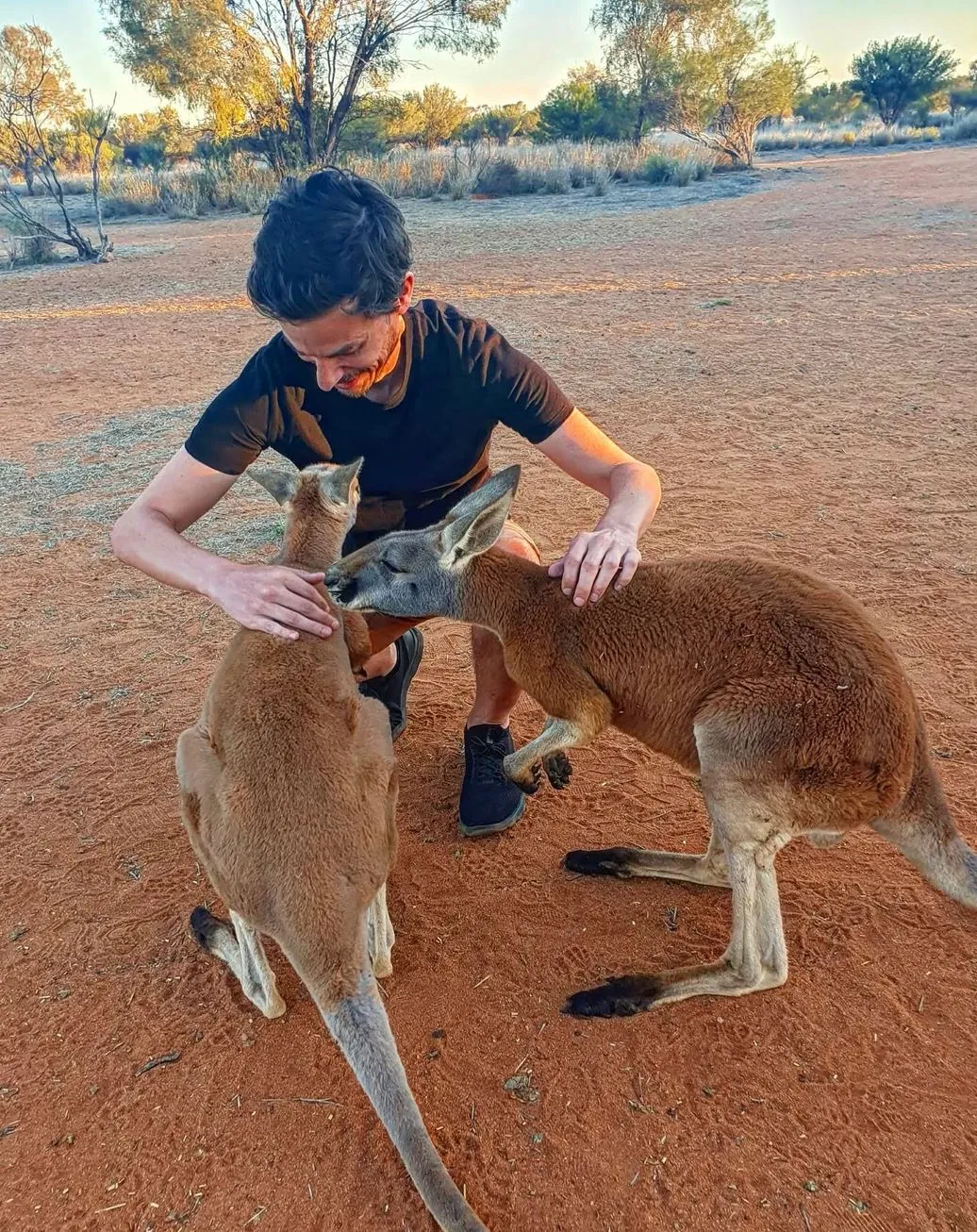 A Close Encounter