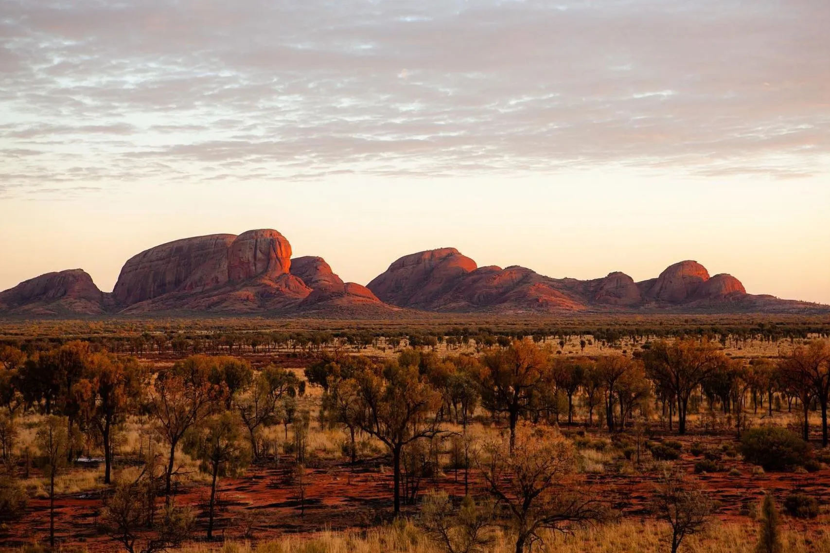 Kata Tjuta (The Olgas)